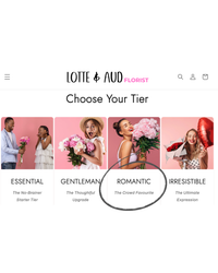 CHOOSE YOUR PLAN